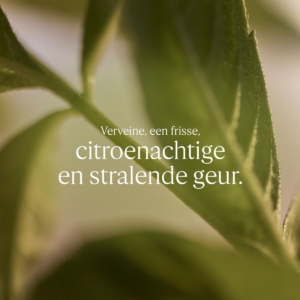 Shower gel L'Occitane En Provence KARITÉ CONFORT 500 ml