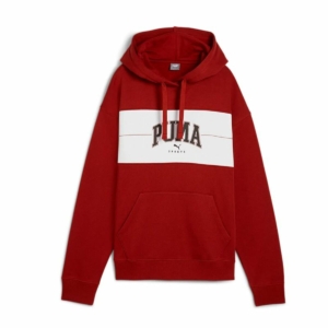 Hættetrøje til Kvinde Puma Puma Squad Hoodie Fl