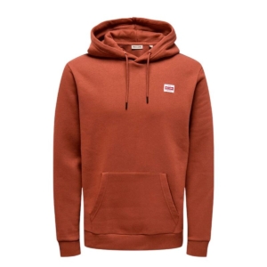 Hættetrøje til Mænd Only & Sons Onsdawson Reg Hoodie Vd Brun