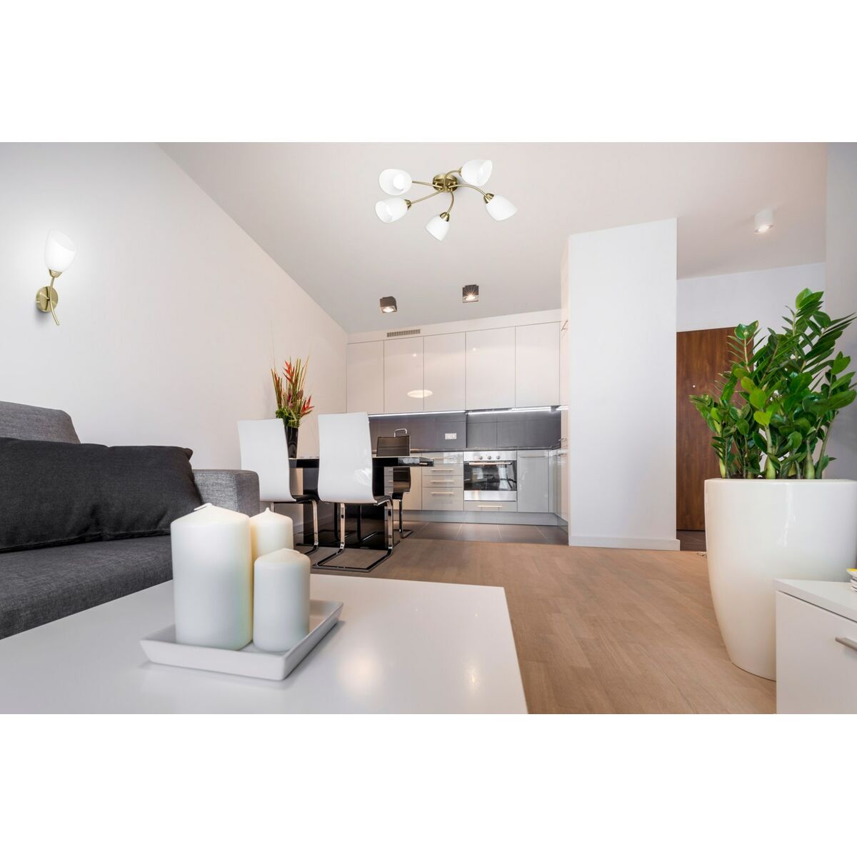 5901443120346_S9121645_P50