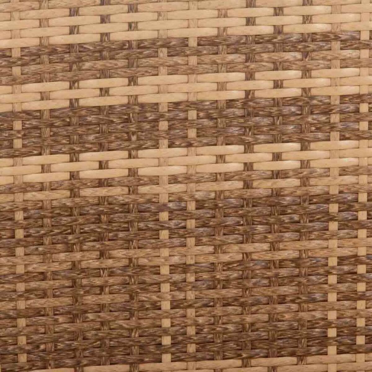 8434523327573_D1631478_P41