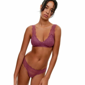 BH Black Limba Halter Dulcet Tulipwood Pink