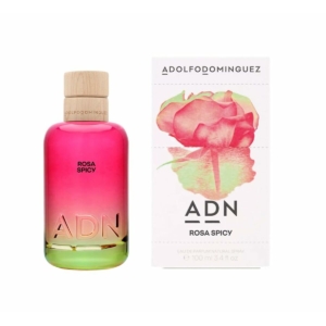 Unisex parfume Adolfo Dominguez ADN 100 ml